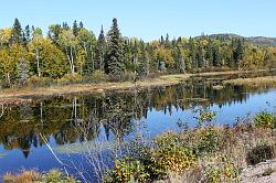 Lac-Saint-Jean naar Shawinigan